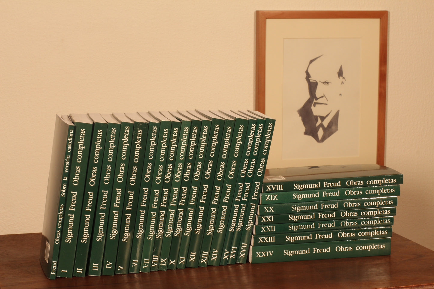 OBRAS COMPLETAS. SIGMUND FREUD: COLECCIÓN 25 TOMOS.