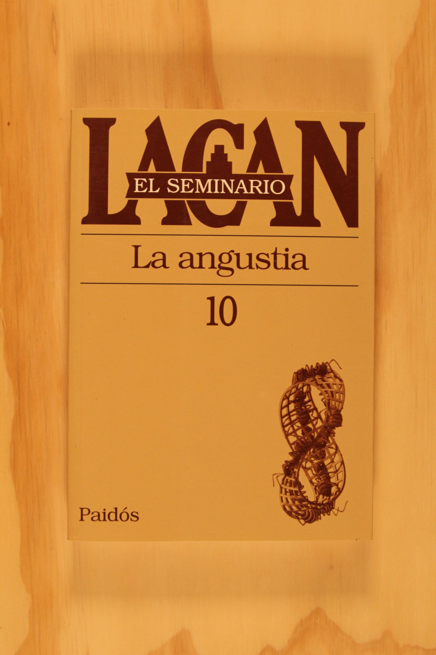 SEMINARIO X, LA ANGUSTIA