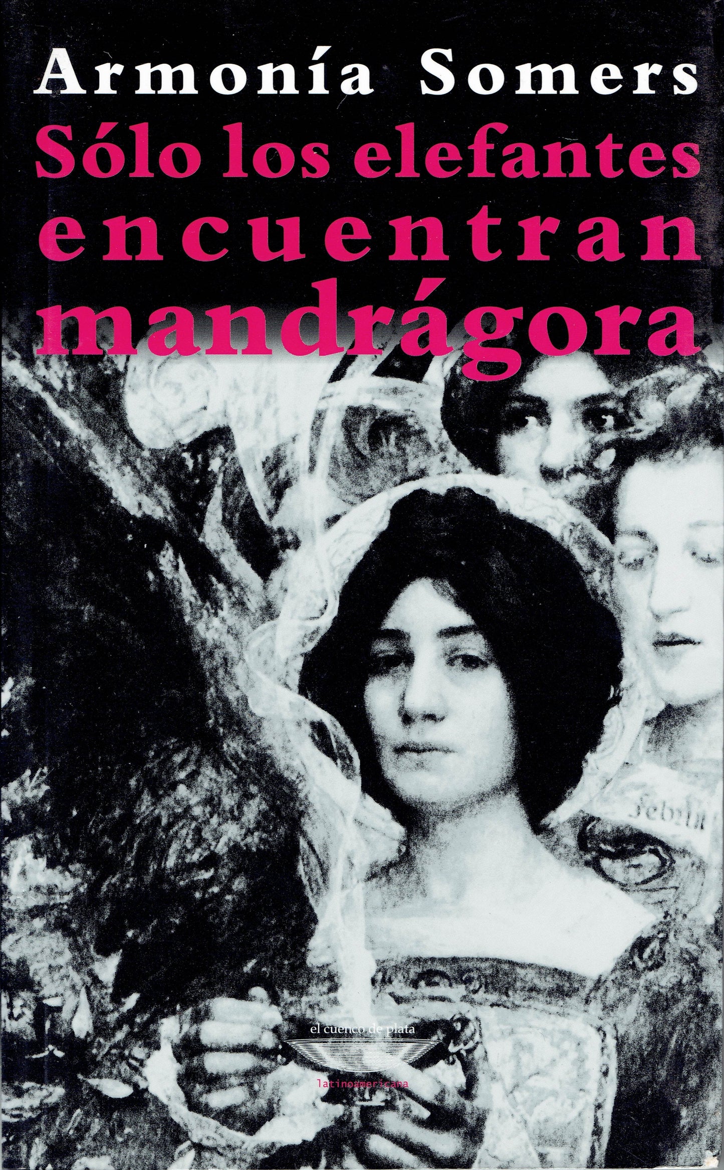 SOLO LOS ELEFANTES ENCUENTRAN MANDRÁGORA.