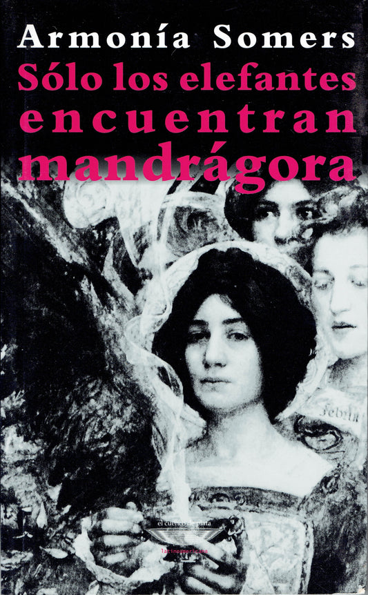 SOLO LOS ELEFANTES ENCUENTRAN MANDRÁGORA.