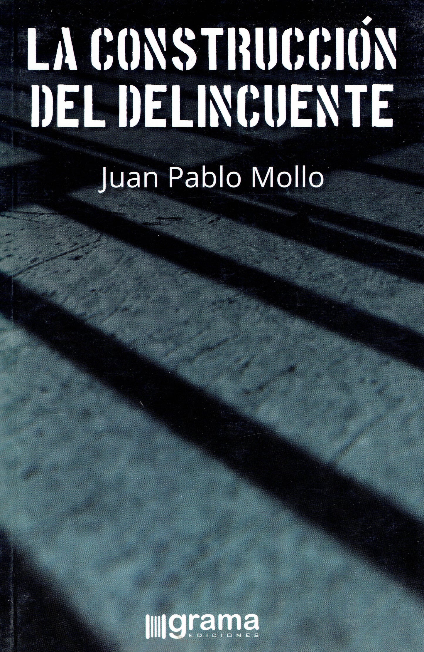 LA CONSTRUCCIÓN DEL DELINCUENTE