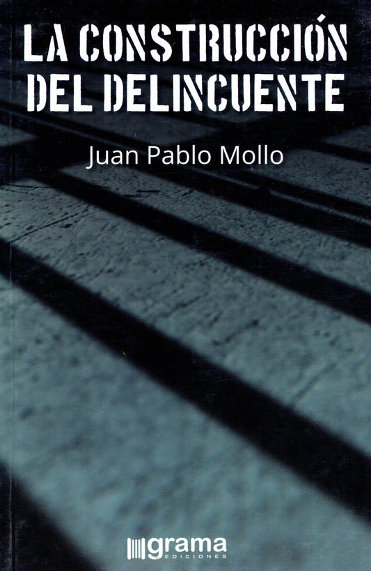 LA CONSTRUCCIÓN DEL DELINCUENTE