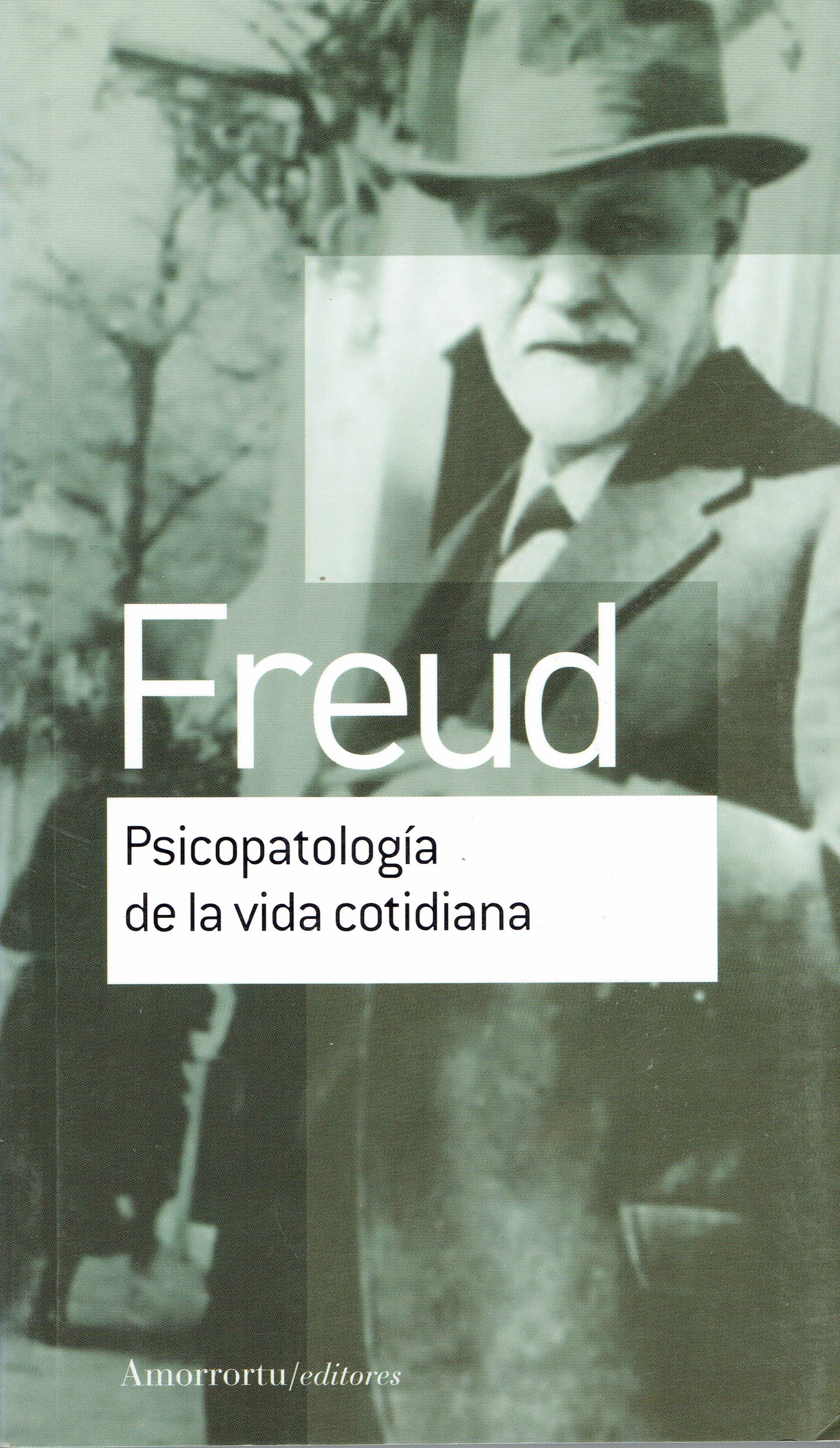 PSICOPATOLOGÍA DE LA VIDA COTIDIANA.