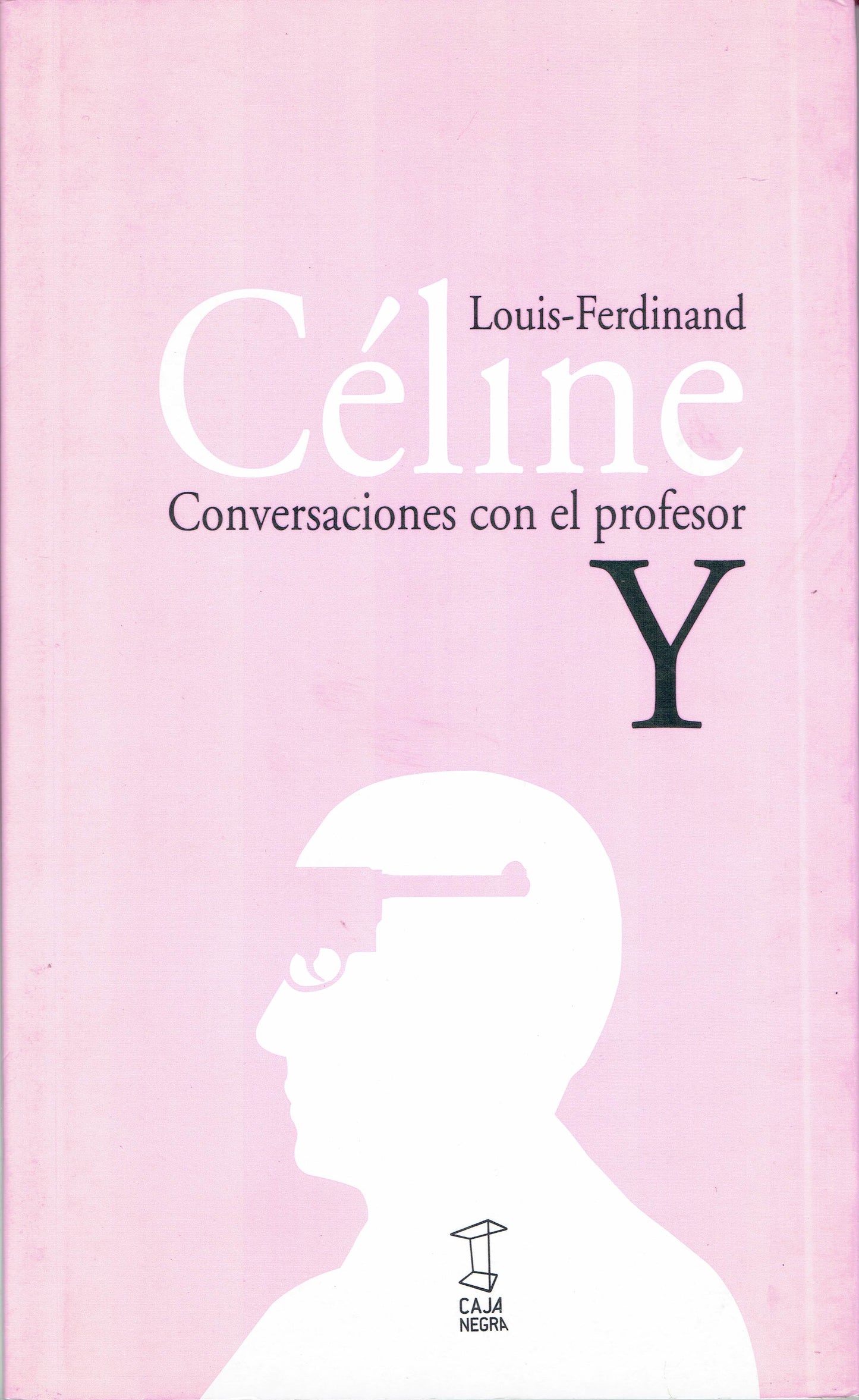 CONVERSACIONES CON EL PROFESOR Y.